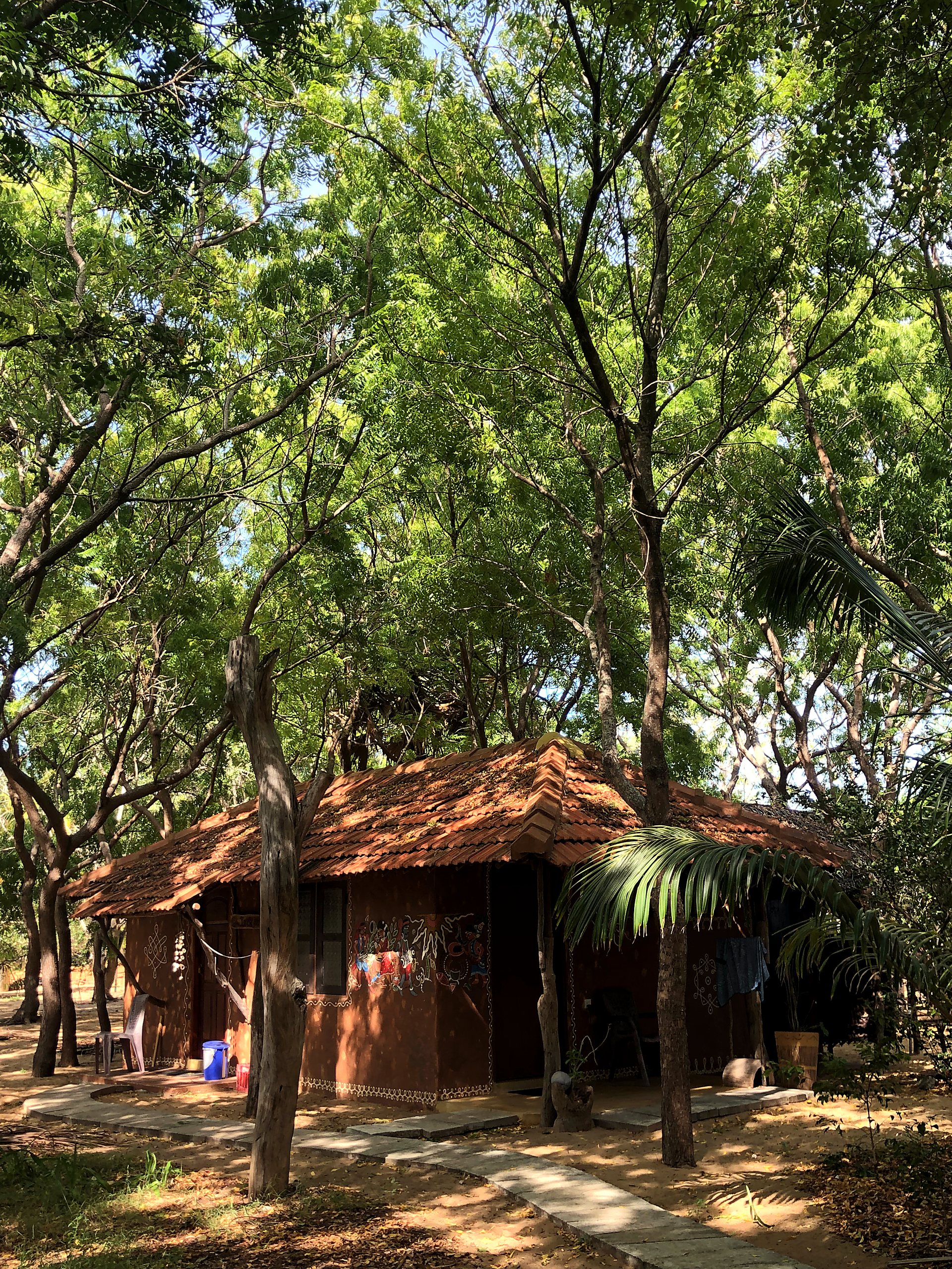 A-frame cabana framed by jungle
