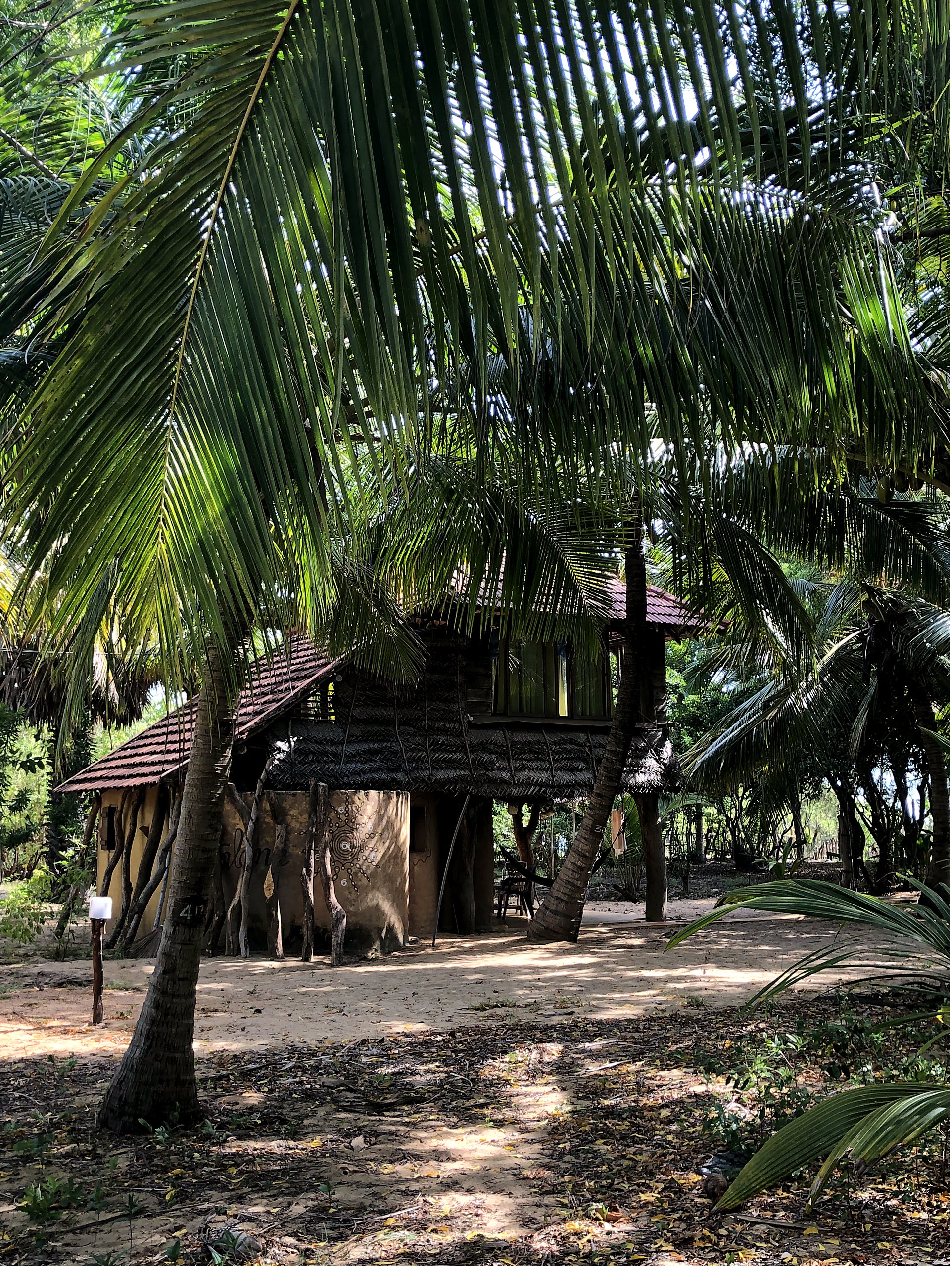 Thatched jungle hut with seating