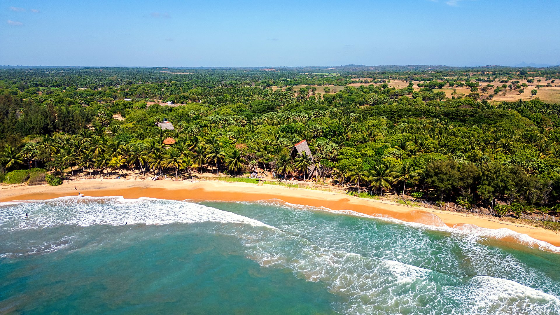 Aerial of the palm coastline at golden hour, Arugam Bay