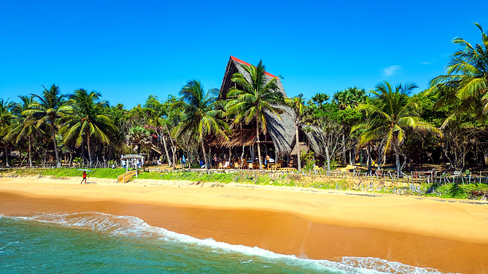 Aerial view of Light House Surf Camp and the Arugam Bay coastline