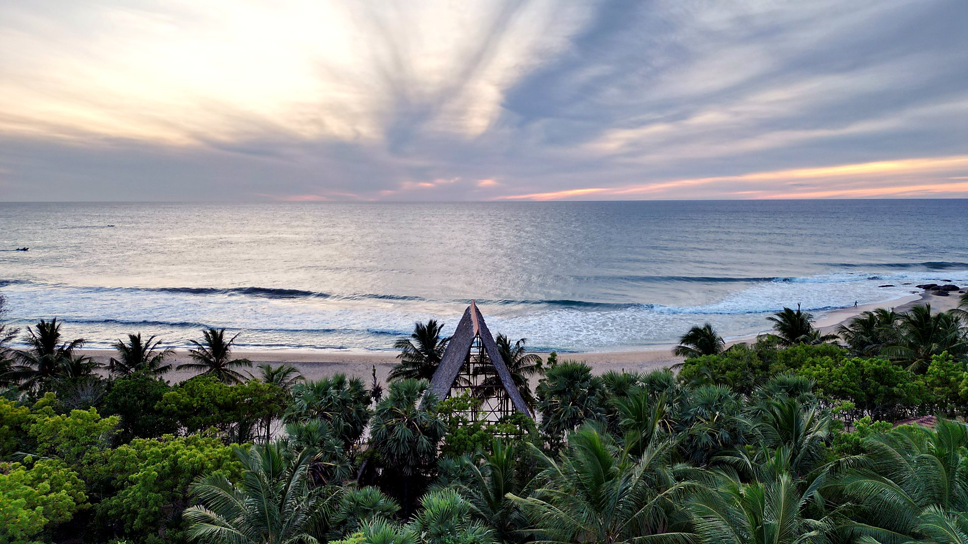 Aerial of the retreat in the palm forest