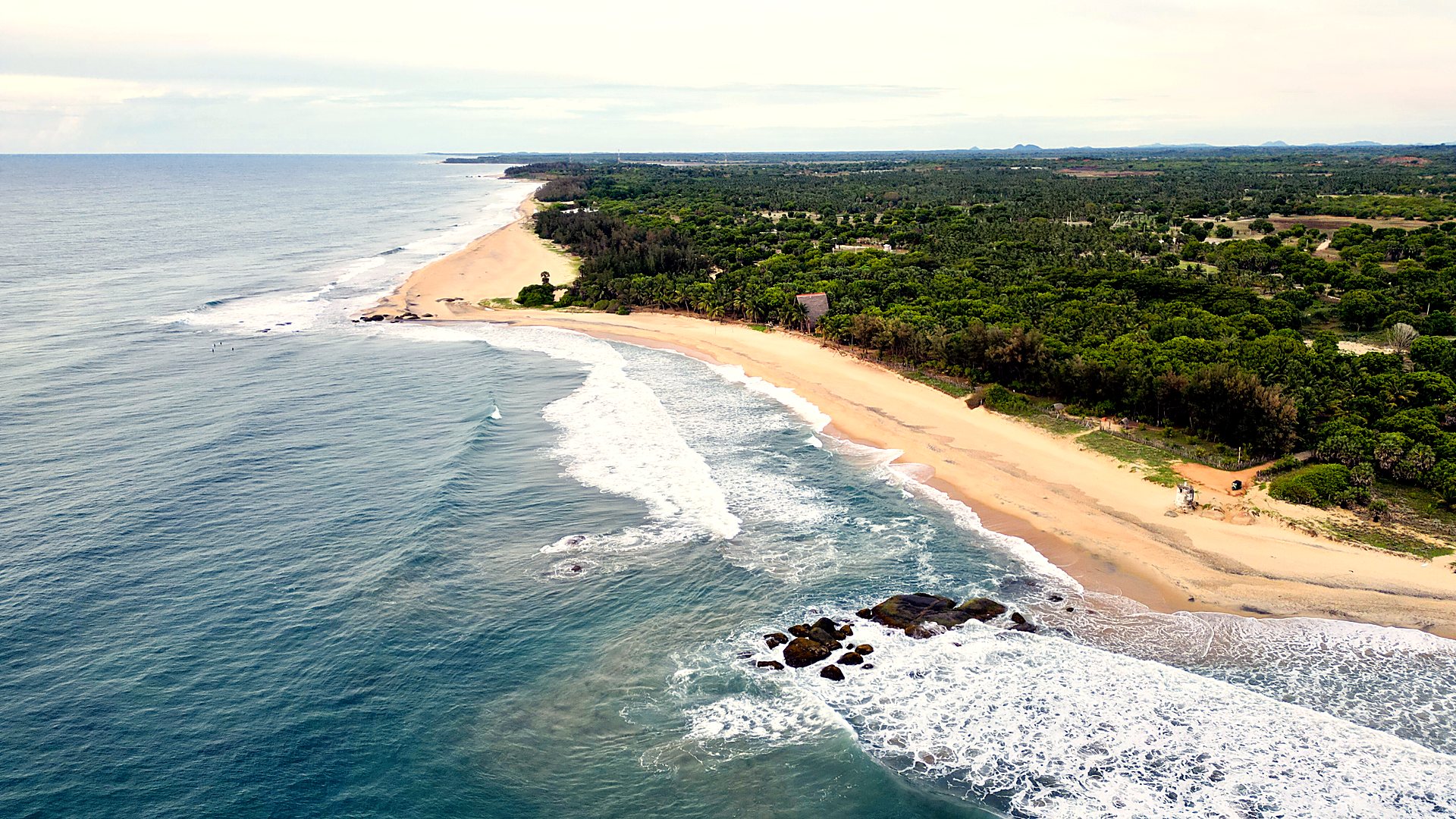 Aerial of the Arugam Bay coastline and surf