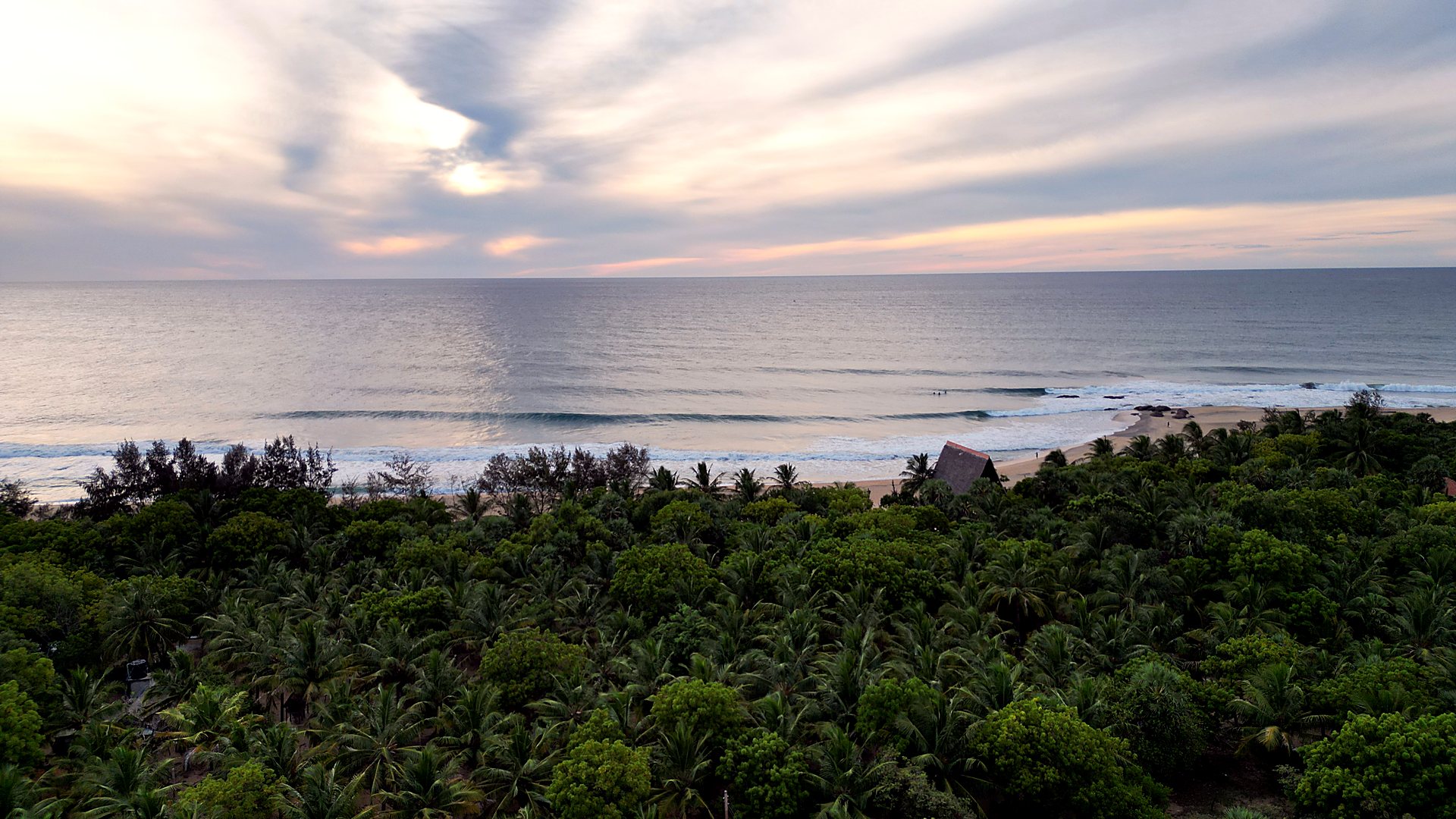 Aerial of the jungle meeting the sea at sunset