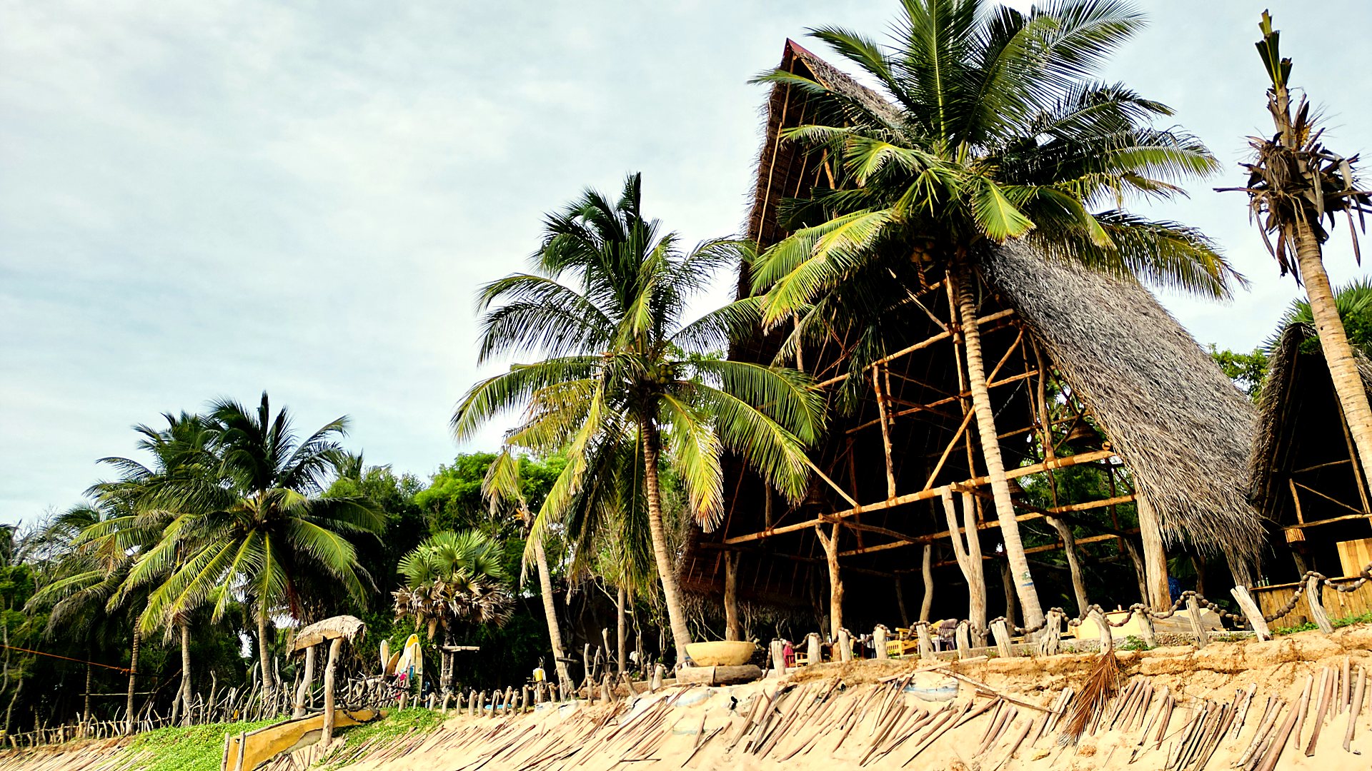 The A-frame restaurant framed by palms at golden hour