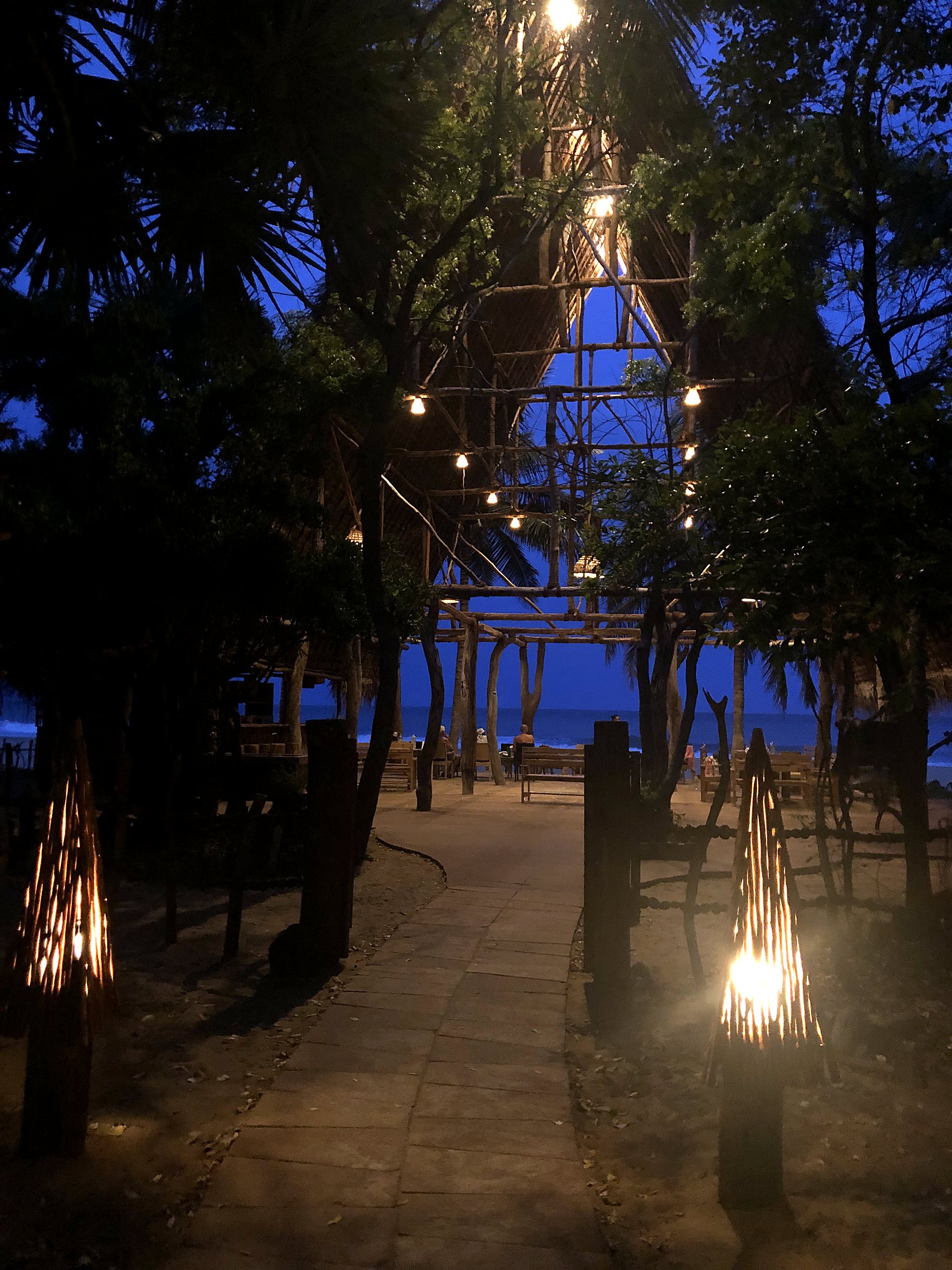 Restaurant interior with hanging lights at dusk